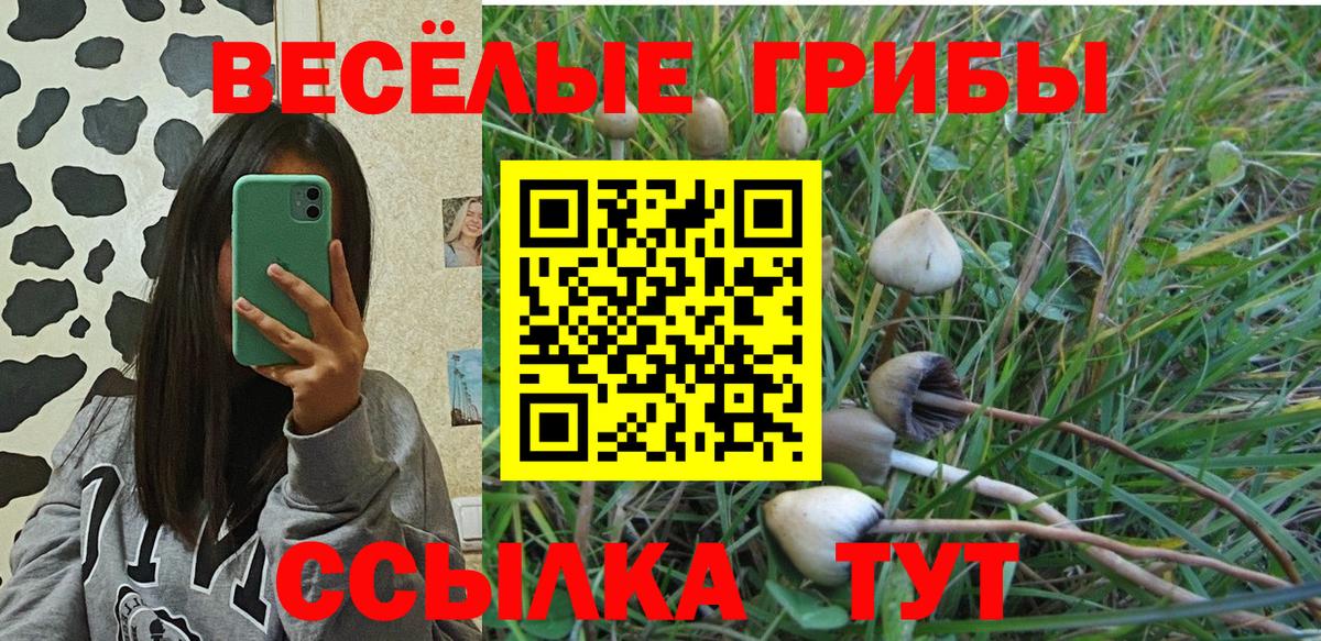 Галлюциногенные грибы MAGIC MUSHROOMS Чапаевск